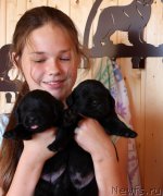 Превью фото № 160219