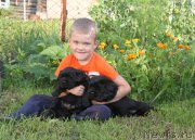 Превью фото № 160289