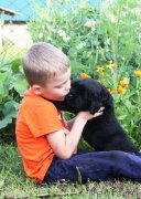 Превью фото № 160297