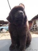 Превью фото № 160321