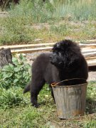 Превью фото № 160365