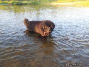 Превью фото № 160513