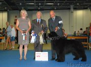 Превью фото № 160540