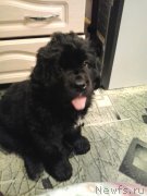 Превью фото № 160558