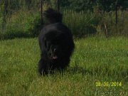 Превью фото № 160588