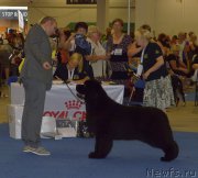 Превью фото № 160607