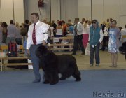 Превью фото № 160615