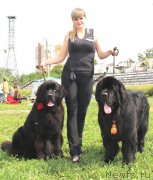 Превью фото № 160743