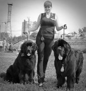 Превью фото № 160746