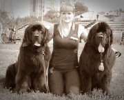 Превью фото № 160747