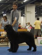 Превью фото № 160758