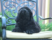 Превью фото № 160773