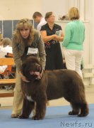 Превью фото № 160794