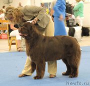 Превью фото № 160795