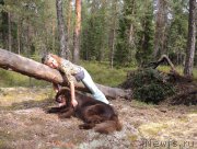 Превью фото № 160801