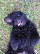 Превью фото № 160805