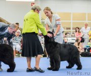 Превью фото № 160824
