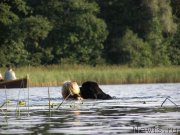 Превью фото № 160852