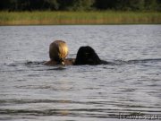 Превью фото № 160854