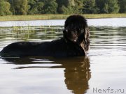 Превью фото № 160858