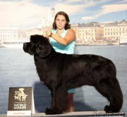 Превью фото № 160925