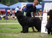 Превью фото № 160948