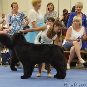 Превью фото № 161229