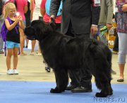 Превью фото № 161231