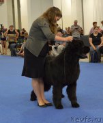 Превью фото № 161236