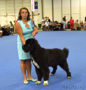 Превью фото № 161241