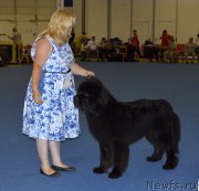 Превью фото № 161250