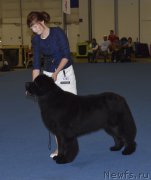 Превью фото № 161254