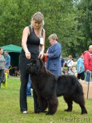 Превью фото № 161259