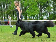 Превью фото № 161260