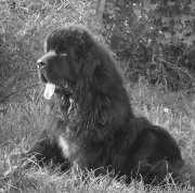 Превью фото № 161294