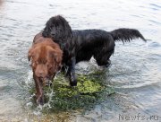 Превью фото № 161306