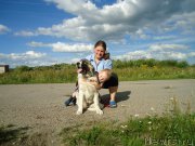 Превью фото № 161324