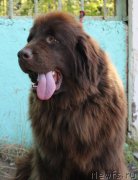 Превью фото № 161383