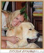 Превью фото № 161385