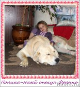 Превью фото № 161386