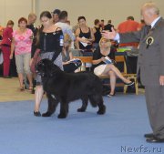 Превью фото № 161393