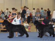 Превью фото № 161394