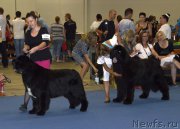 Превью фото № 161395