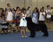 Превью фото № 161399