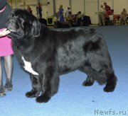 Превью фото № 161409