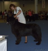 Превью фото № 161410