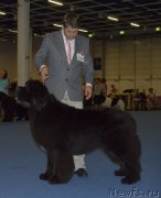 Превью фото № 161411