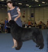 Превью фото № 161412