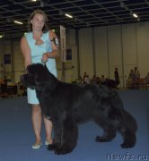 Превью фото № 161415