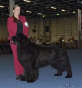 Превью фото № 161417